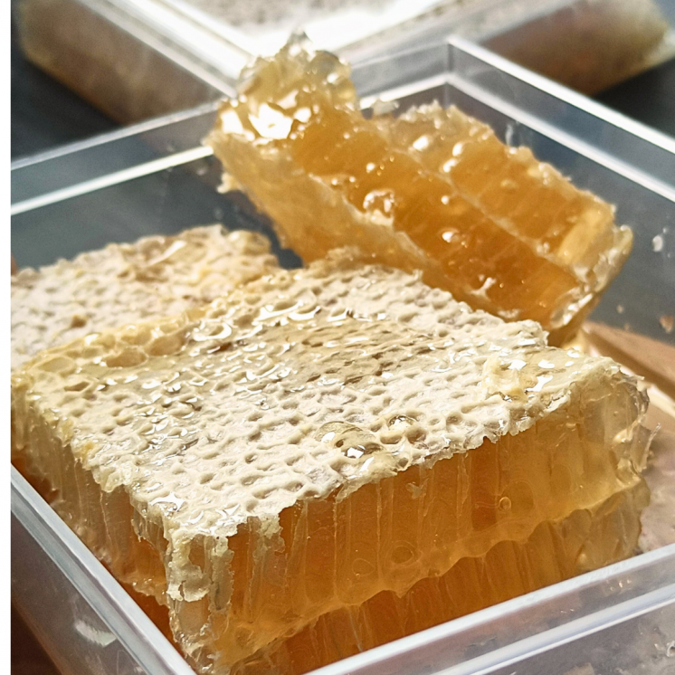 Miel en rayon du jura