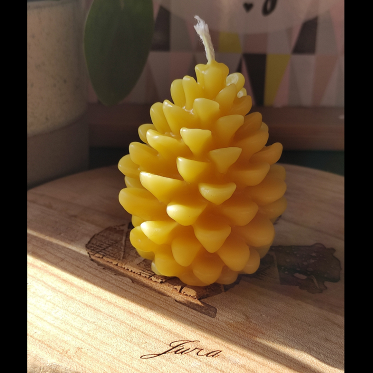petite bougie pomme de pin cire abeille