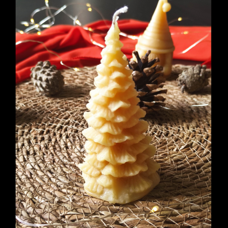 petite bougie artisanale sapin cire abeille